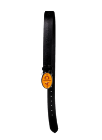 AD30 Belt
