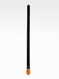 AD30 Belt